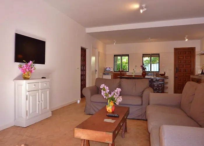Luxurious Villa In Marbella With Swimming Pool